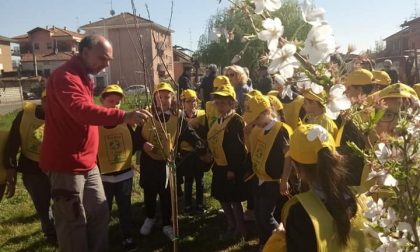 Frutteto sociale in via Cefalonia: bambini all'opera