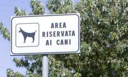 Novara "Cacciati dall'area pubblica cani perchè siamo gay"