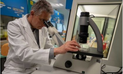 Nuova fondamentale scoperta in Piemonte: cellule tumorali come i batteri