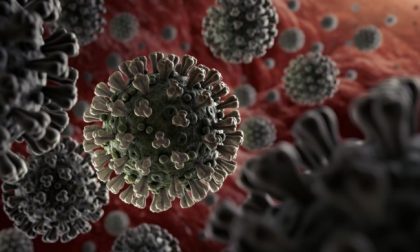 Coronavirus in provincia: triplo zero per Novara, Vercelli e Biella