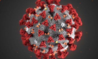 Decessi Coronavirus: quota zero per le province di Vercelli, Novara e Biella