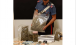 Cerano arrestato operaio 23enne: nella sua casa 1.5 kg di marijuana