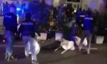 Mega rissa in centro a Novara: in piazza Martiri interviene la polizia - VIDEO