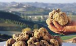 Tartufo patrimonio Unesco: la cava e cerca candidata dagli esperti di Parigi