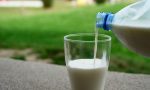 Coldiretti Novara Vco: "Stalle da latte in crisi, produzione giù del 20%"