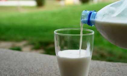 Confagricoltura: "La Regione deve convocare un tavolo sul latte"
