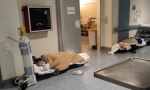 Rivoli pazienti Covid per terra in ospedale: video shock