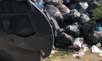 Novara rifiuti abbandonati in via Concina, Assa: "E' colpa dei condomini, conferimenti non conformi"