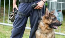 Blitz con i cani antidroga a Trecate: scovata cocaina, arrestato 57enne