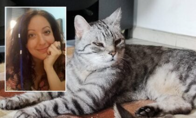 Arrestato il gatto No Tav: il Tribunale vieta la visita del veterinario