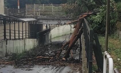 Binatti chiede lo Stato di Emergenza per i comuni novaresi colpiti dalla tromba d’aria