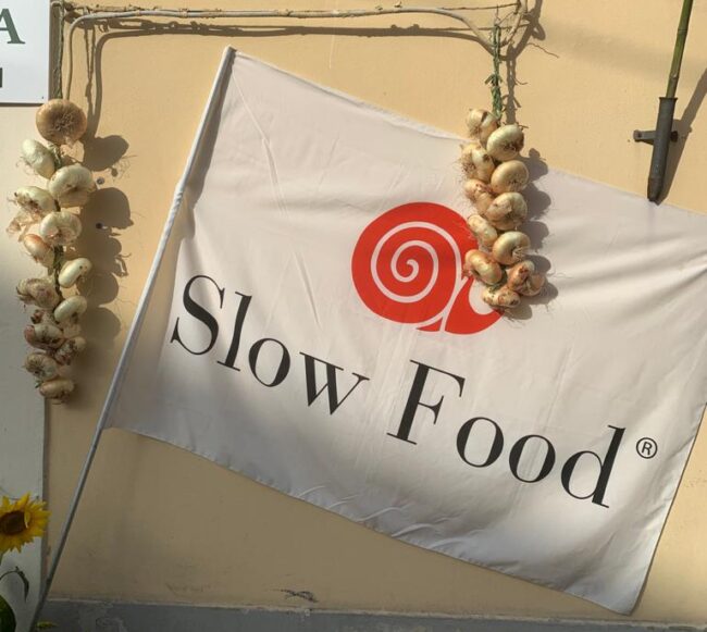 cipolle Slow food