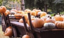 Primo week-end di ottobre, appuntamento al Villaggio delle Zucche per festeggiare l’autunno