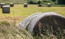 21 milioni di euro dalla Regione per le imprese agroindustriali piemontesi