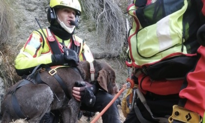 Cane bloccato sul Mottarone: intervento del Soccorso Alpino e dei Vigili del Fuoco