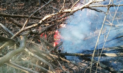 Incendio nei boschi di Ameno: 40 volontari Aib da tutto il Novarese