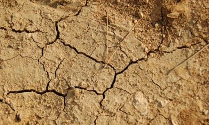 In Piemonte siccità record: le prossime mosse della Regione
