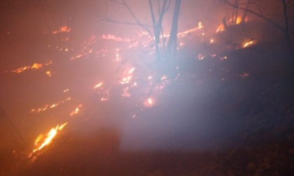 Bosco in fiamme ad Armeno: 21 volontari Aib e 7 automezzi per domare le fiamme