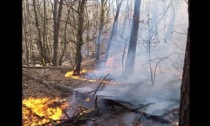 Piemonte allarme incendi boschivi: 42 in soli 10 giorni