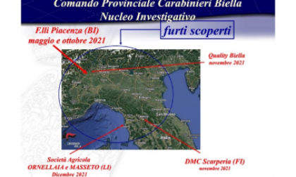 Sgominata la gang del lusso che rubava dal cashmere alle bottiglie di vino di pregio