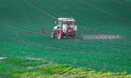 Pesticidi, allarme di Codacons: “Stop al glifosato”