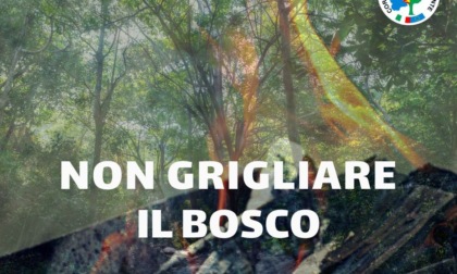 Campagna Aib per Pasquetta: “Non grigliare il bosco”