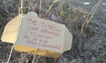 Oleggio Castello: multa da 600 euro per una donna sorpresa a gettare rifiuti in strada