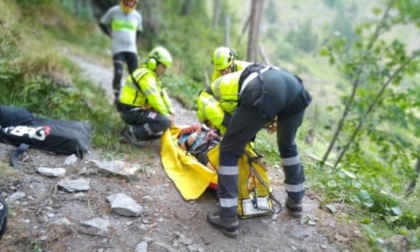 Cade dalla mountain bike su un nido di vespe che iniziano a pungerlo in massa