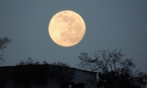 Questa sera la luna gigante: spettacolo in cielo