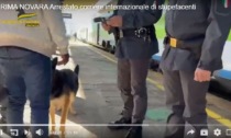 Arrestato corriere internazionale di stupefacenti: era sul treno Milano-Francoforte