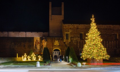 Canelli: "Novara non rinuncia al Natale", le iniziative