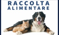 Raccolta alimentare per cani e gatti con Balzoo sabato