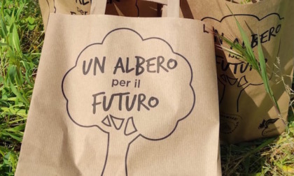 Festa degli Alberi 2022: i carabinieri forestali piantumano alberi nelle scuole novaresi