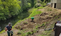 Verbania: iniziati i lavori di riqualificazione ecologica e naturalistica al canale di Fondotoce