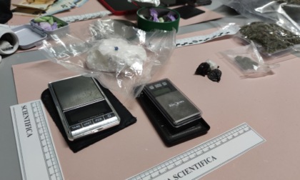 Traffico di sostanze stupefacenti: due arresti a Novara