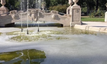 Fontana del Parco dei bambini di Novara riempita di detersivo