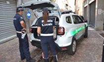 Sette soccorsi, 2 litigi sedati, un disturbatore allontanato durante la Festa dell'uva: le attività della polizia locale di Borgomanero