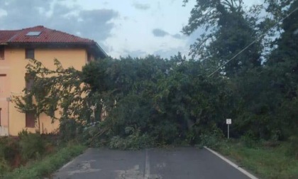 Maltempo: la Provincia di Novara chiede lo stato d'emergenza