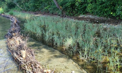 Gozzano: la via dei canneti rinasce grazie a un progetto totalmente "green"