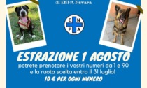 Una lotteria estiva per aiutare l'Enpa di Novara