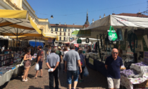 Cosa fare a Novara e Provincia: gli eventi del weekend del 5 e 6 agosto