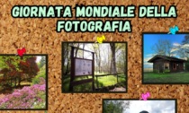 Parco del Ticino e Lago Maggiore: un contest per la giornata mondiale della fotografia