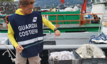 Navigazione e pesca nel lago Maggiore: piovono sanzioni
