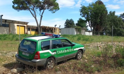 A Gozzano i carabinieri forestali sequestrano un'area boschiva di oltre 3000 metri quadrati