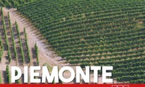 Tre Bicchieri 2024: i migliori vini del Piemonte premiati da Gambero Rosso