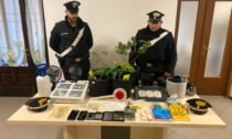 Coltivava marijuana in casa: 24enne arrestato dai Carabinieri