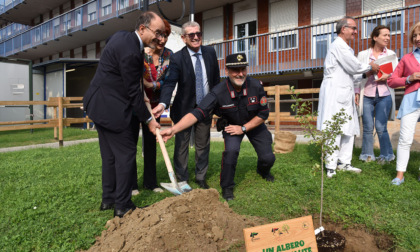 "Un albero per la salute" grazie a Carabinieri e dirigenti ospedalieri