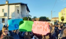 Consulta provinciale degli studenti di Novara: "Strappata la parola ai ragazzi del Fermi di Arona"