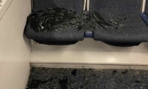 Assaltano e vandalizzano treni: ripercussioni sulle linee novaresi