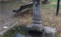 Icardi: “In Piemonte le acque potabili sono sicure”